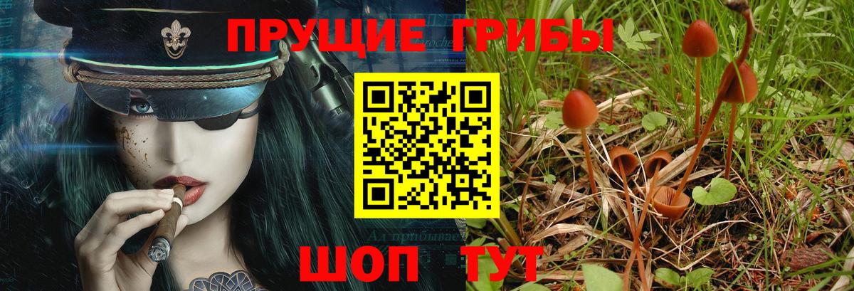 Тобольск  Галлюциногенные грибы мухоморы  закладки  Вход с VPN 